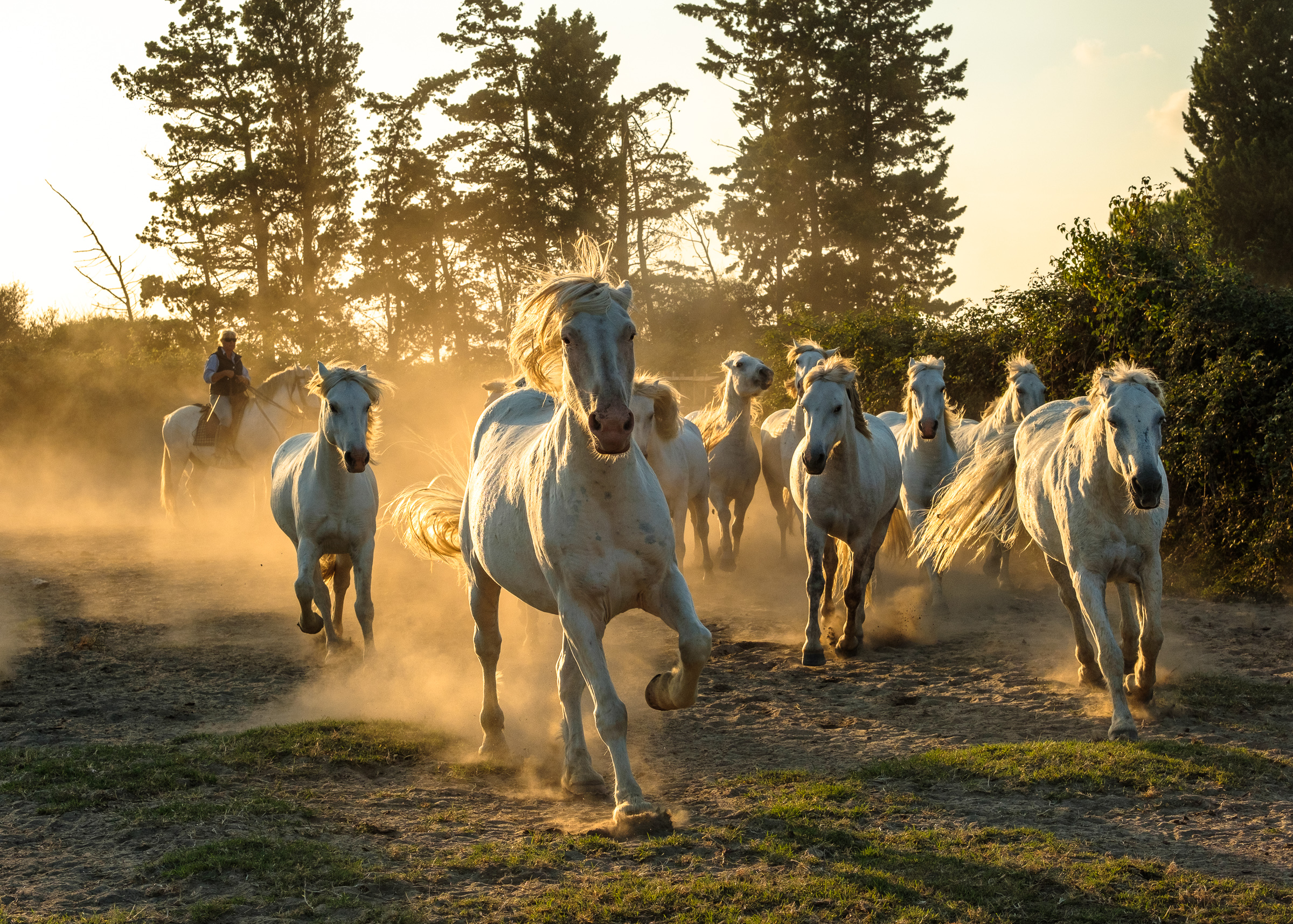 Bernard Crampon Photography - Titre commun