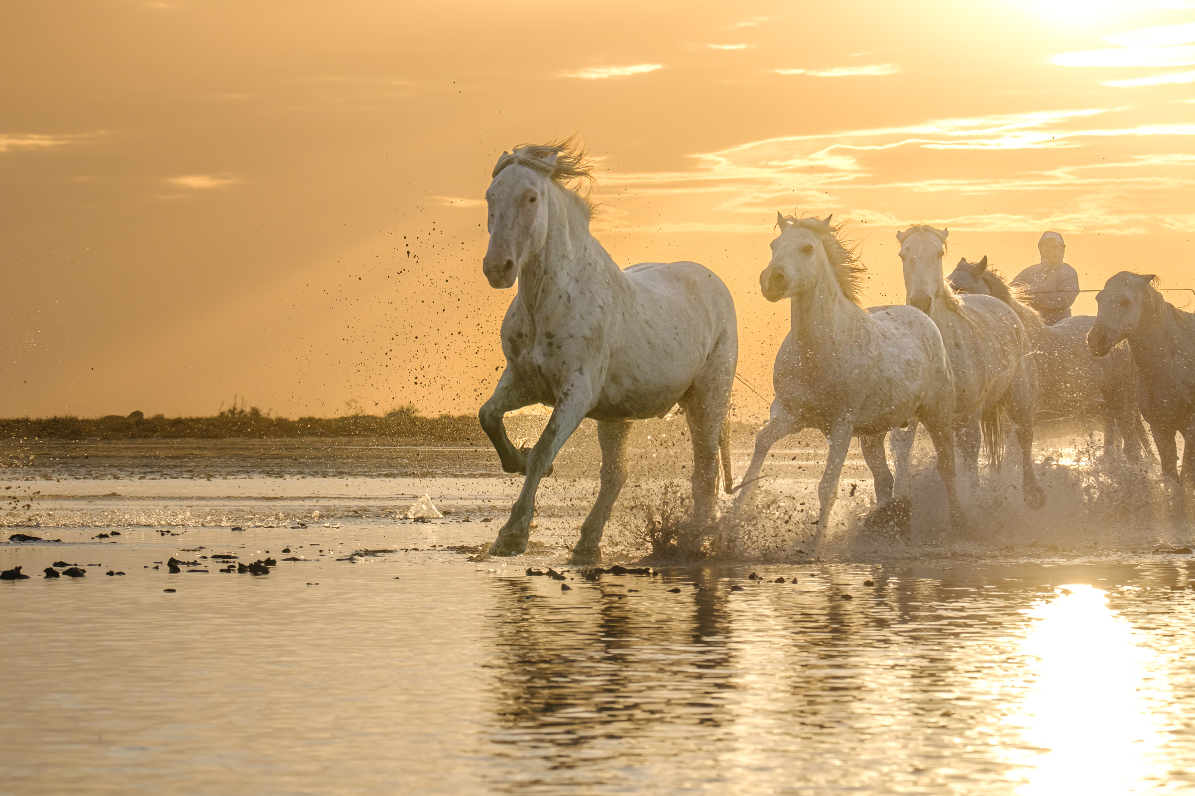 Bernard Crampon Photography - Titre commun