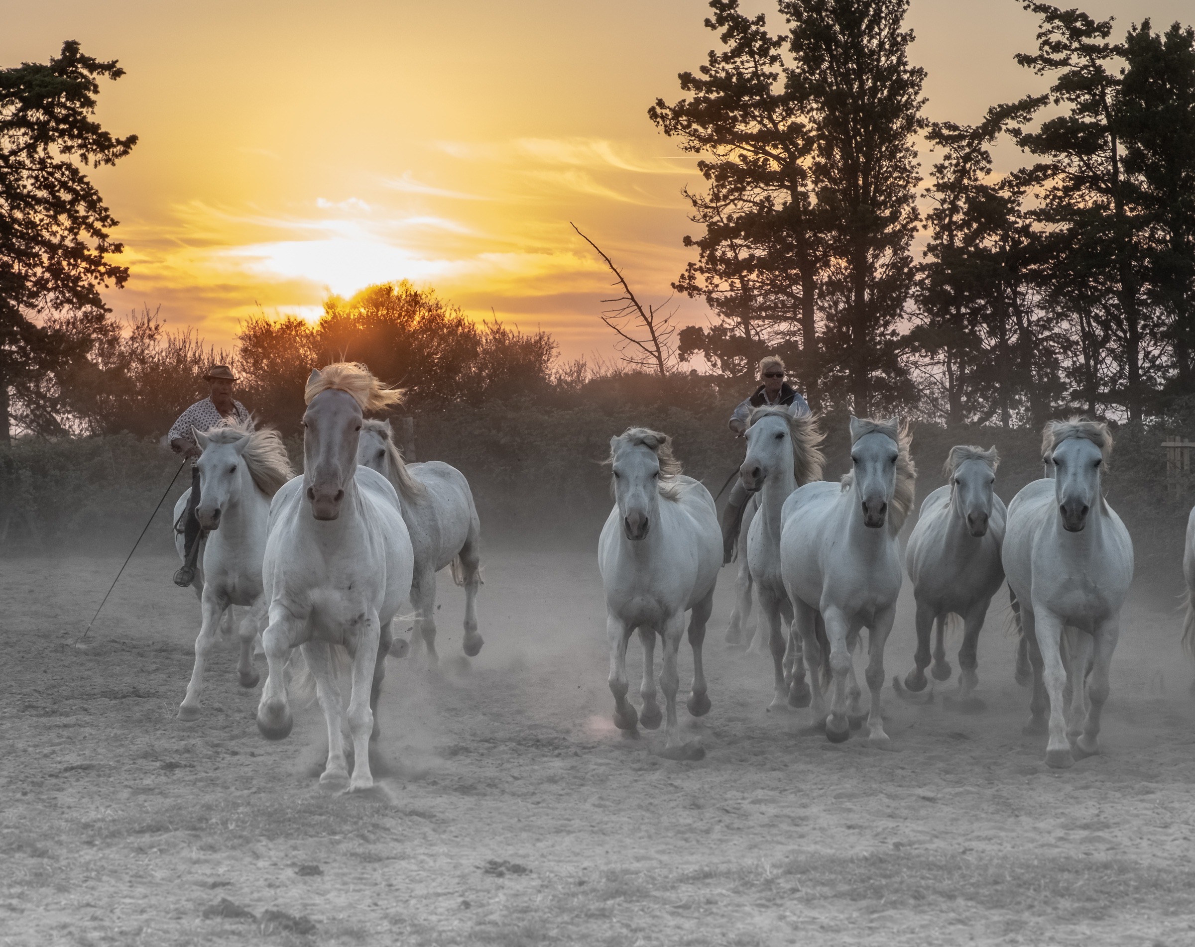 Bernard Crampon Photography - Titre commun