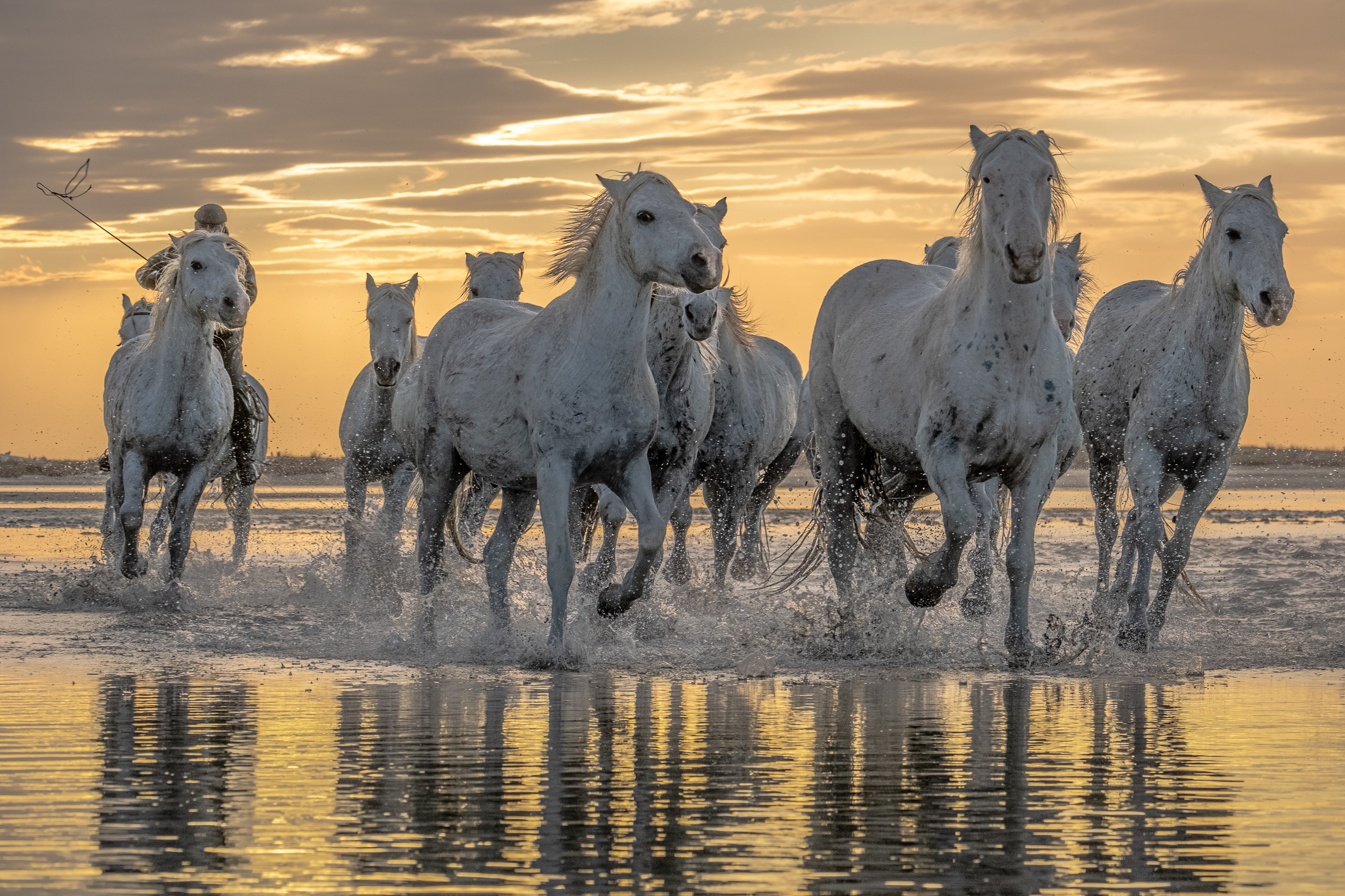 Bernard Crampon Photography - Titre commun