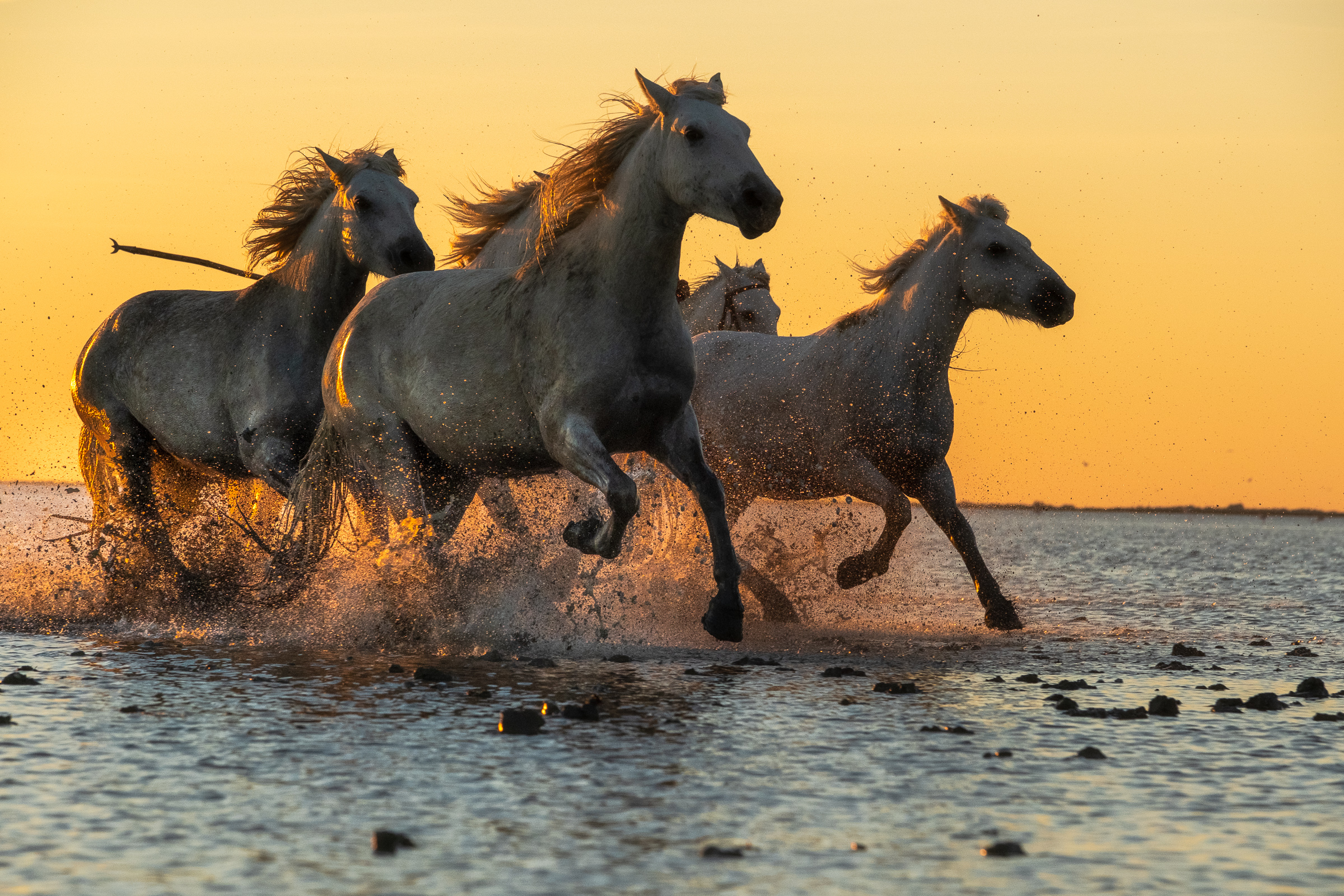 Bernard Crampon Photography - Titre commun