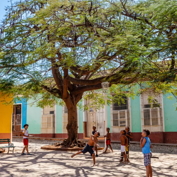 Bernard Crampon Photography - Trinidad