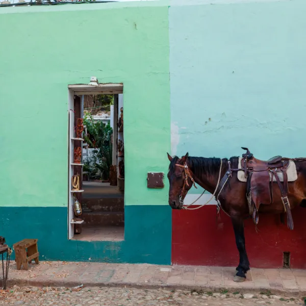 Bernard Crampon Photography - Trinidad