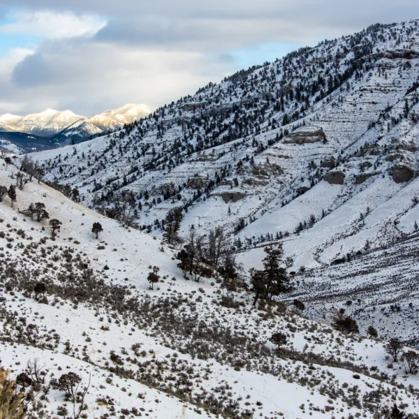 Bernard Crampon Photography - Yellowstone National Park