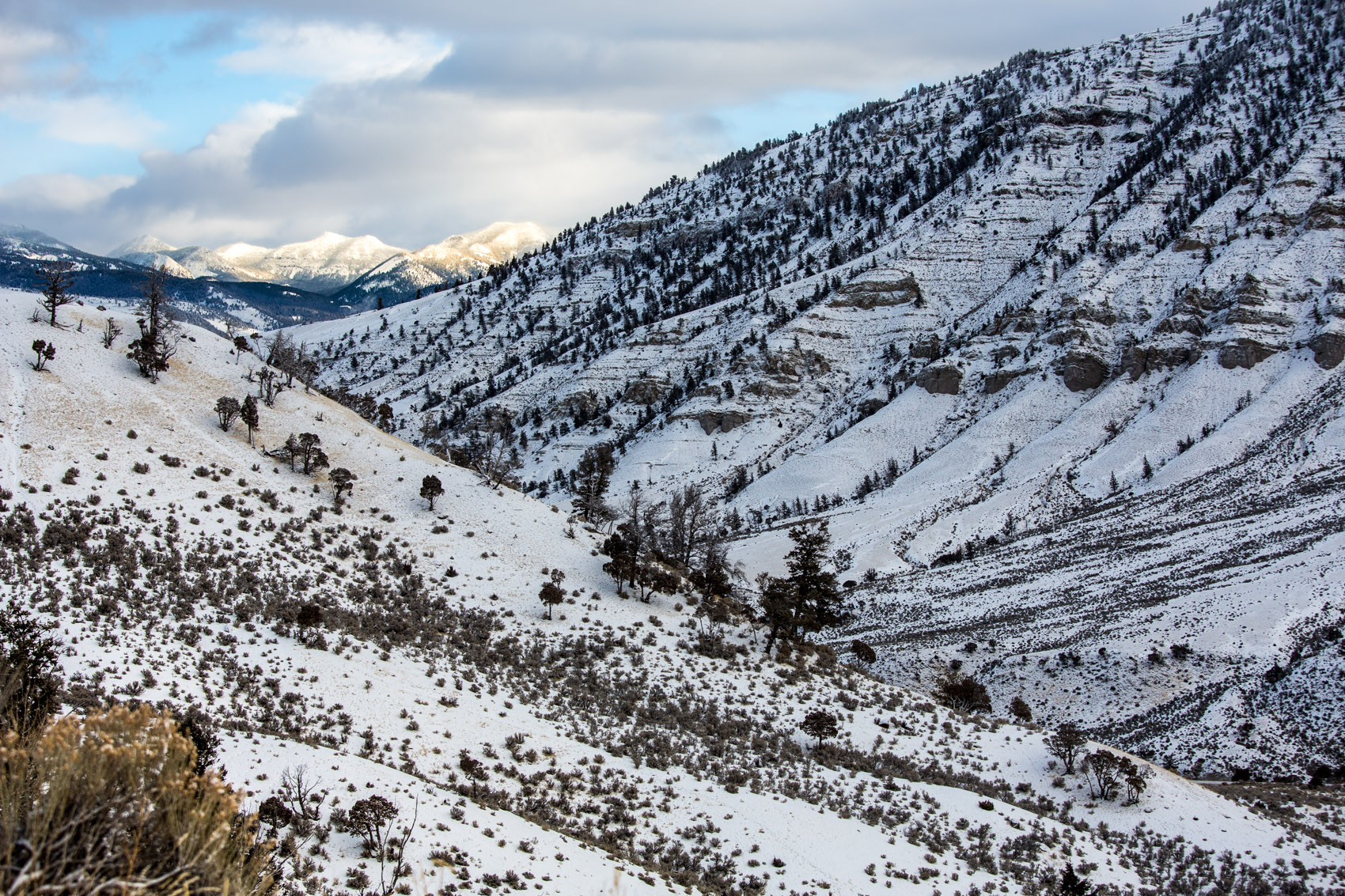 Bernard Crampon Photography - Yellowstone National Park