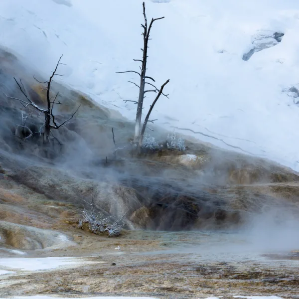Bernard Crampon Photography - Yellowstone National Park