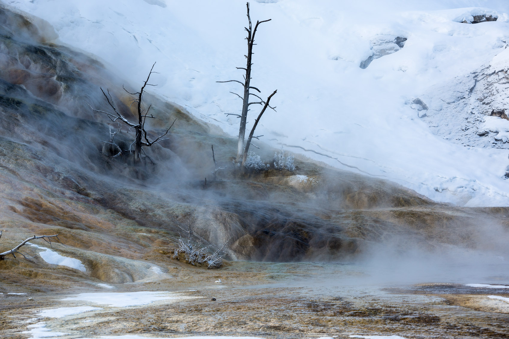 Bernard Crampon Photography - Yellowstone National Park