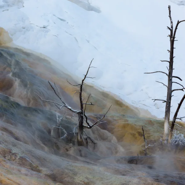 Bernard Crampon Photography - Yellowstone National Park