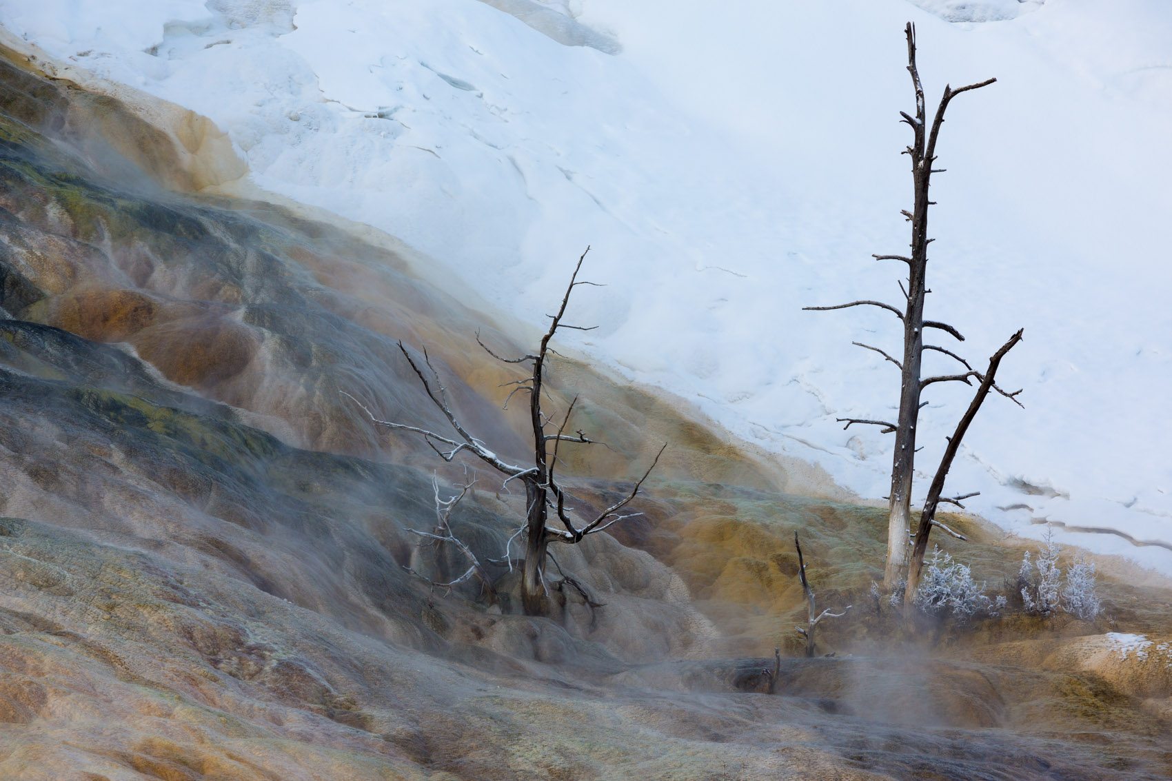 Bernard Crampon Photography - Yellowstone National Park