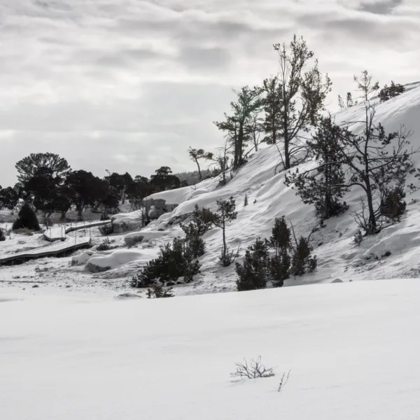 Bernard Crampon Photography - Yellowstone National Park
