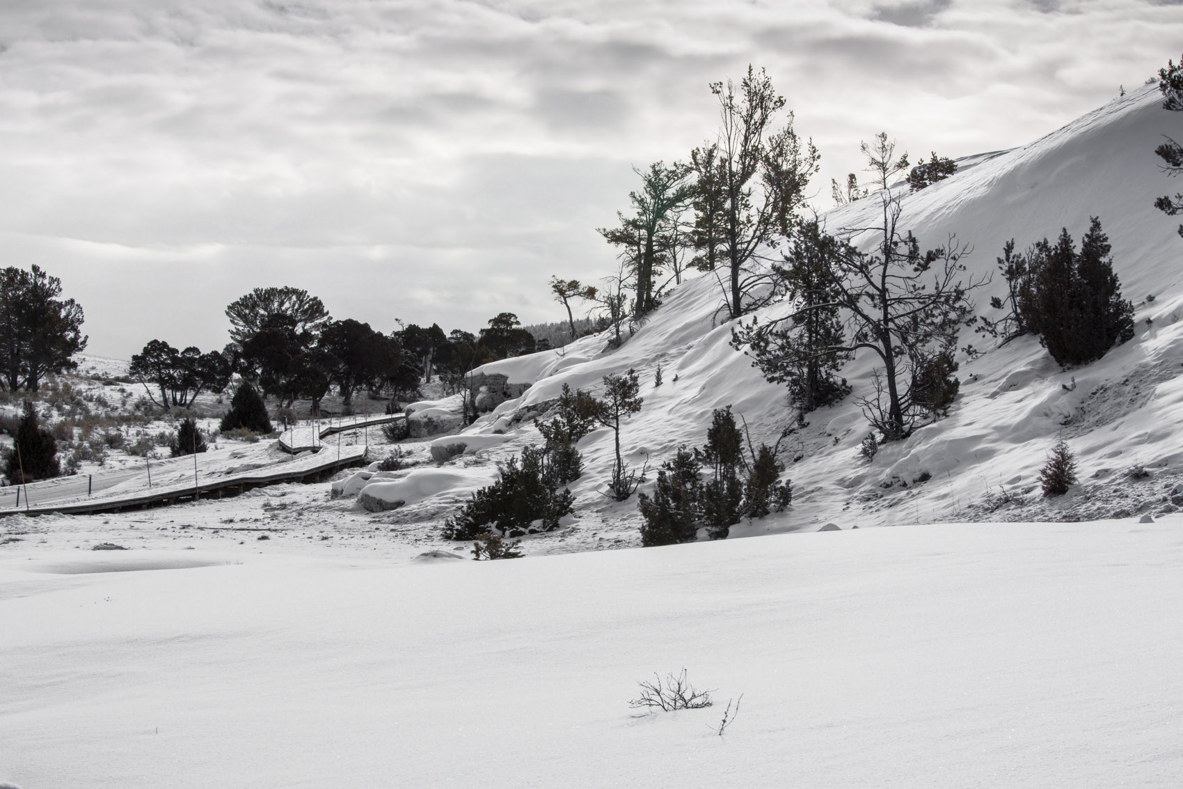Bernard Crampon Photography - Yellowstone National Park