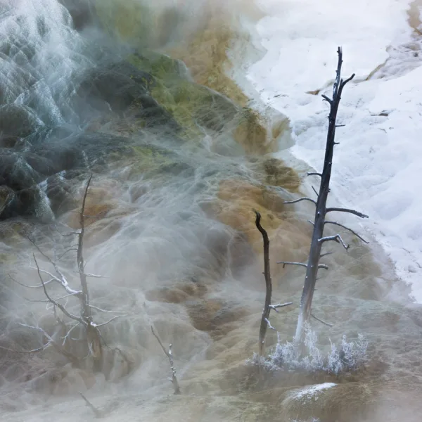 Bernard Crampon Photography - Yellowstone National Park