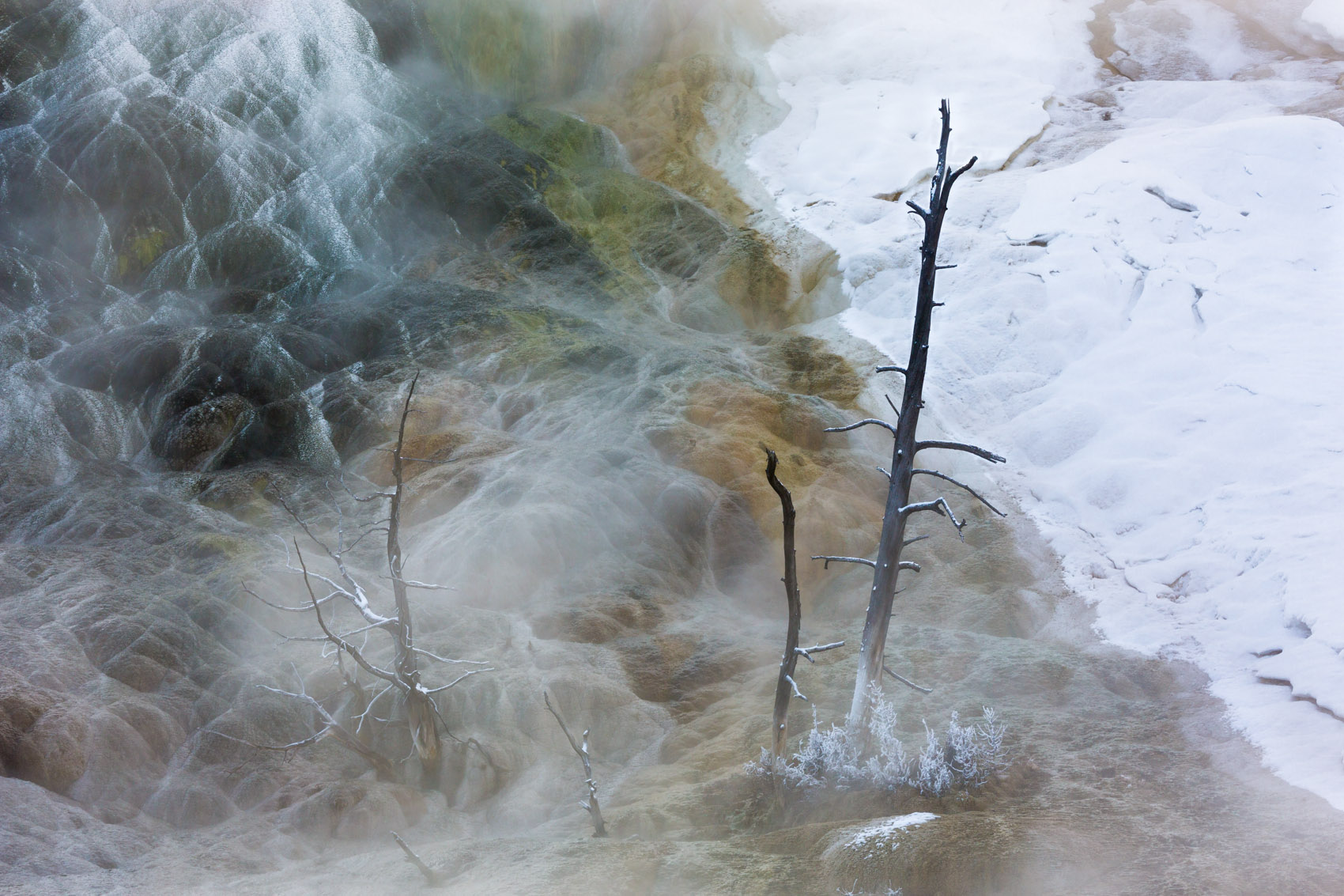 Bernard Crampon Photography - Yellowstone National Park