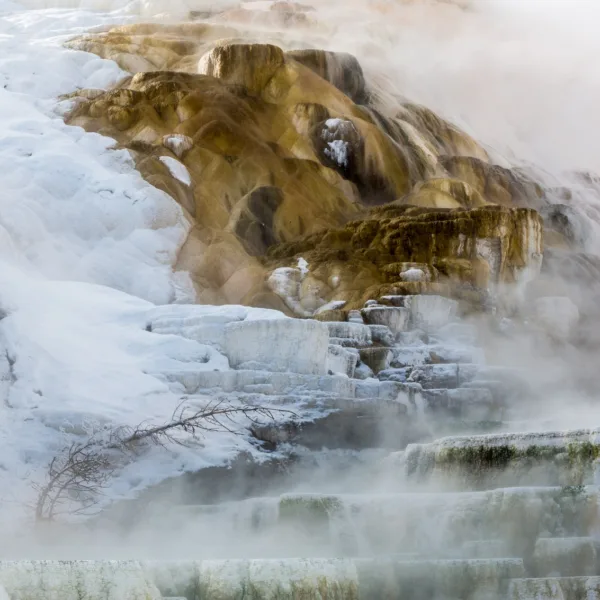 Bernard Crampon Photography - Yellowstone National Park