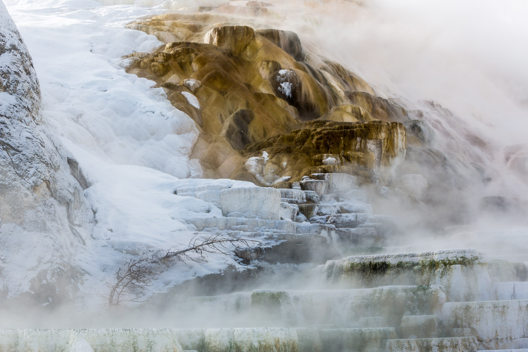 Bernard Crampon Photography - Yellowstone National Park