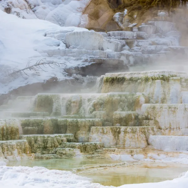 Bernard Crampon Photography - Yellowstone National Park