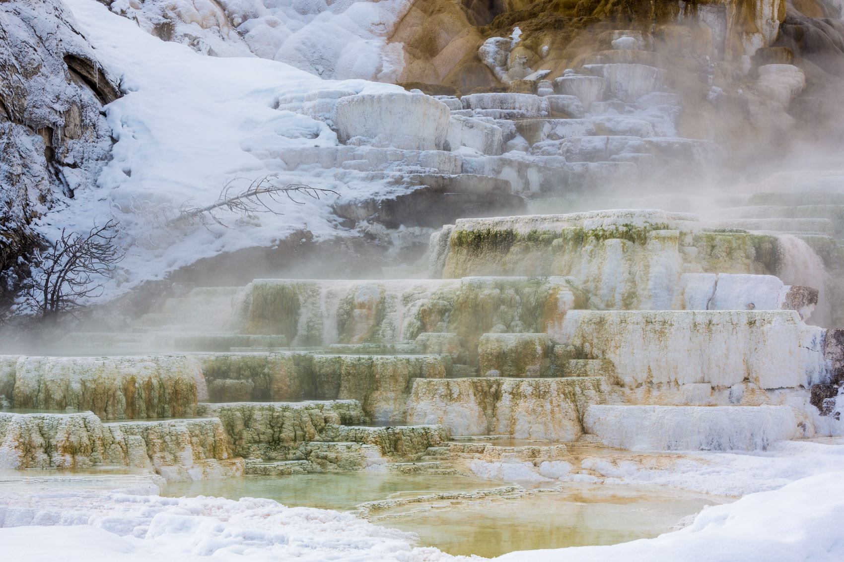Bernard Crampon Photography - Yellowstone National Park