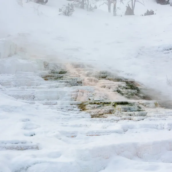 Bernard Crampon Photography - Yellowstone National Park