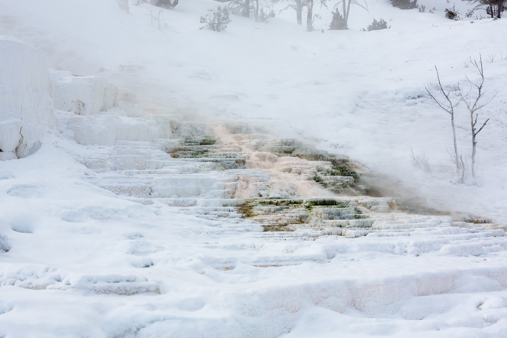 Bernard Crampon Photography - Yellowstone National Park