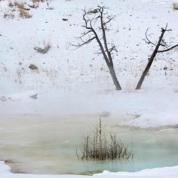 Bernard Crampon Photography - Yellowstone National Park