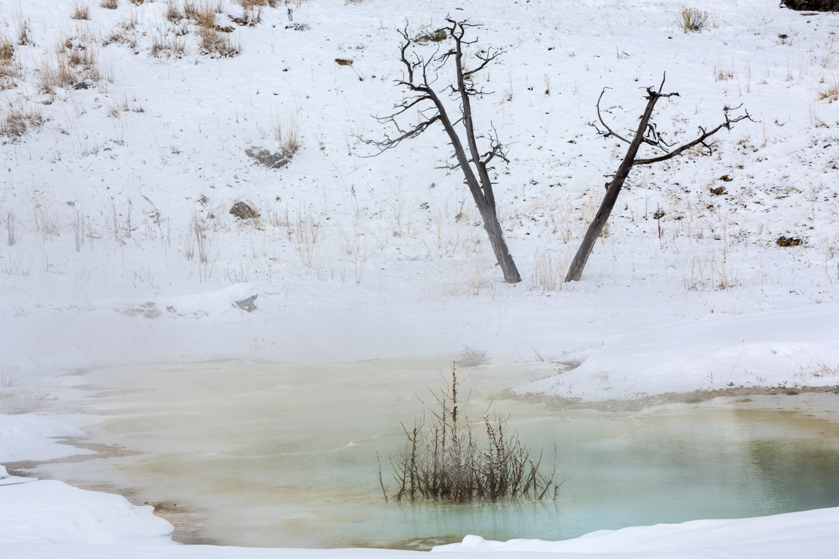 Bernard Crampon Photography - Yellowstone National Park