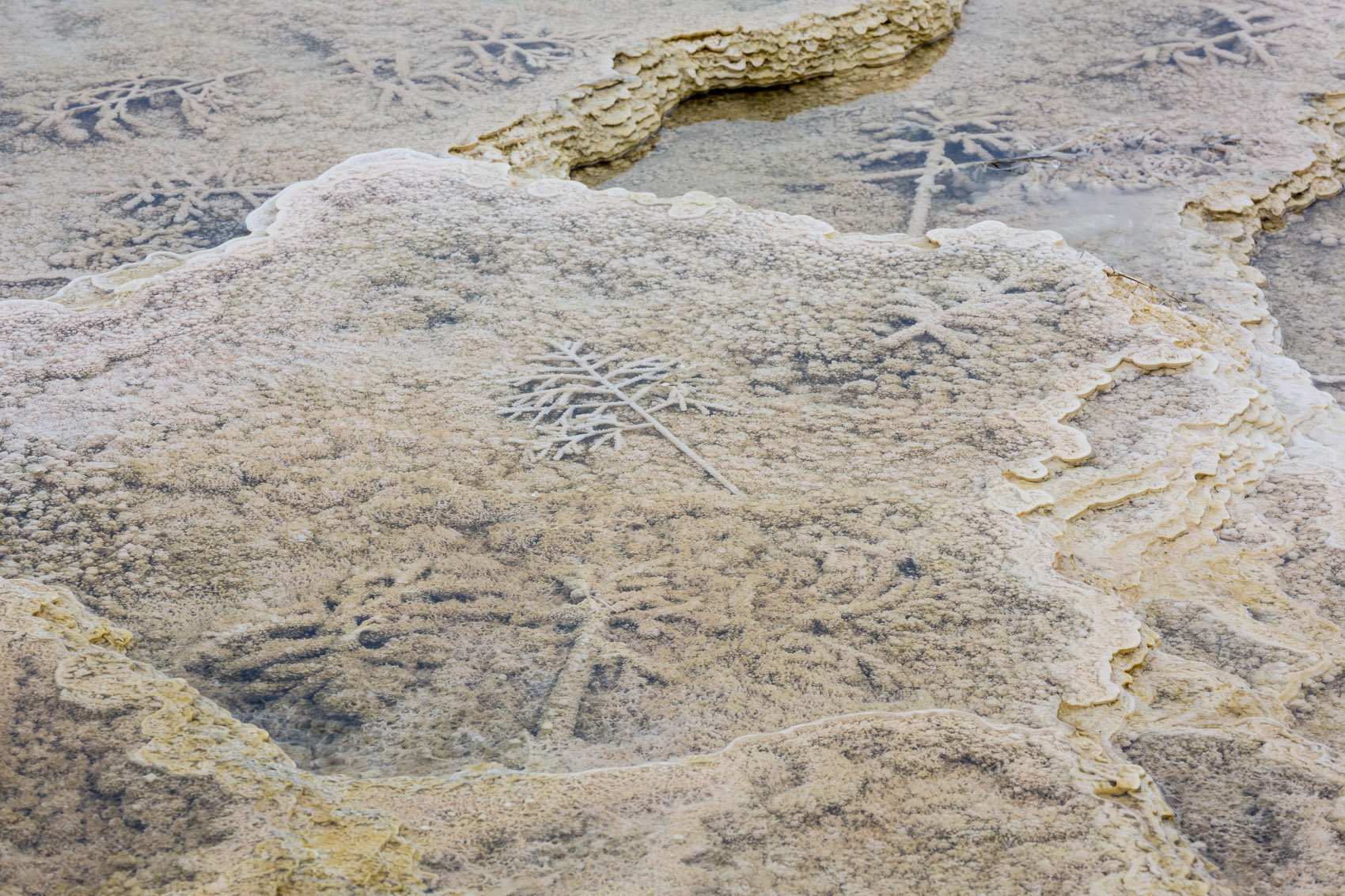 Bernard Crampon Photography - Yellowstone National Park