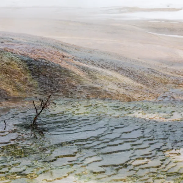 Bernard Crampon Photography - Yellowstone National Park