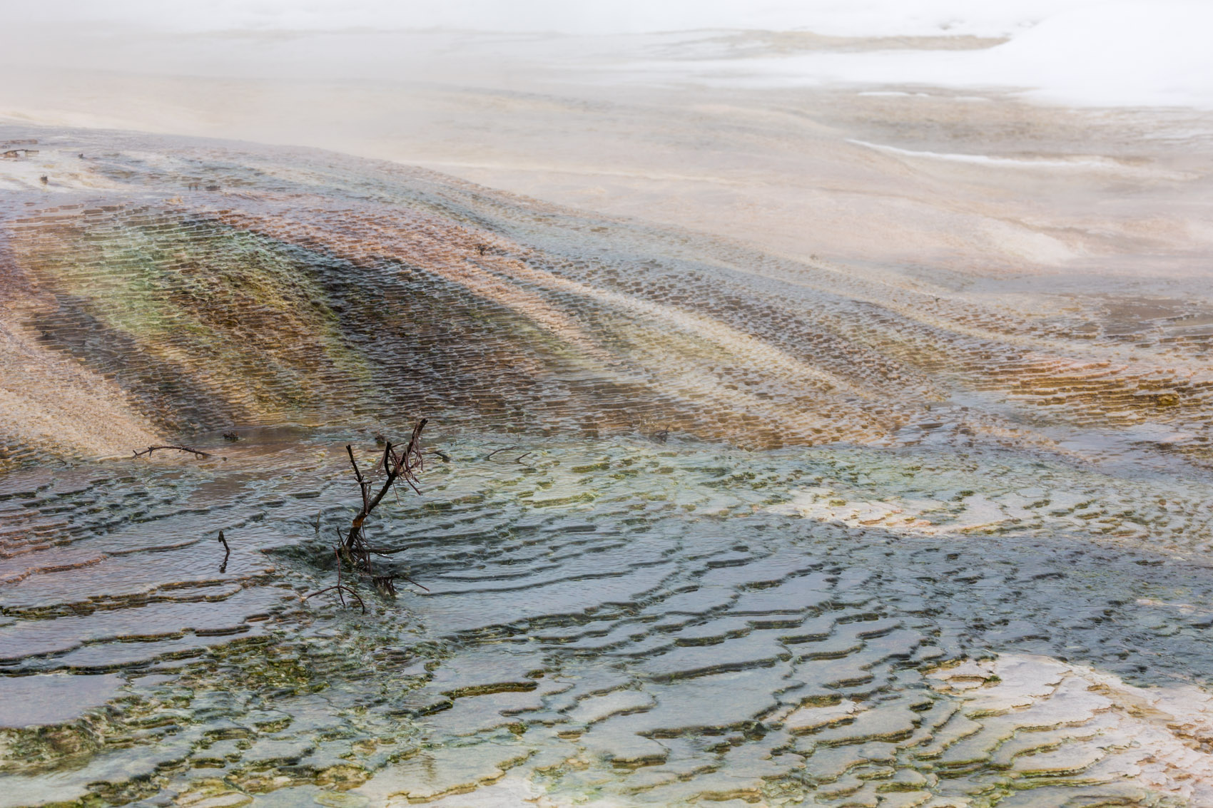 Bernard Crampon Photography - Yellowstone National Park