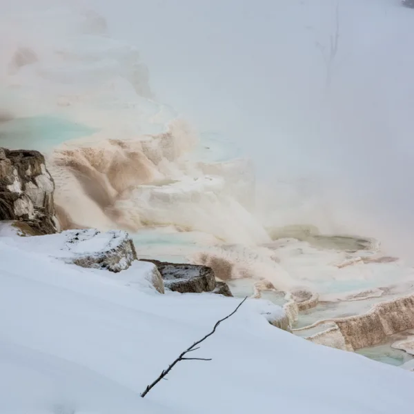Bernard Crampon Photography - Yellowstone National Park
