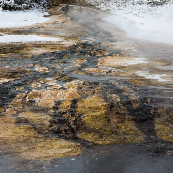 Bernard Crampon Photography - Yellowstone National Park