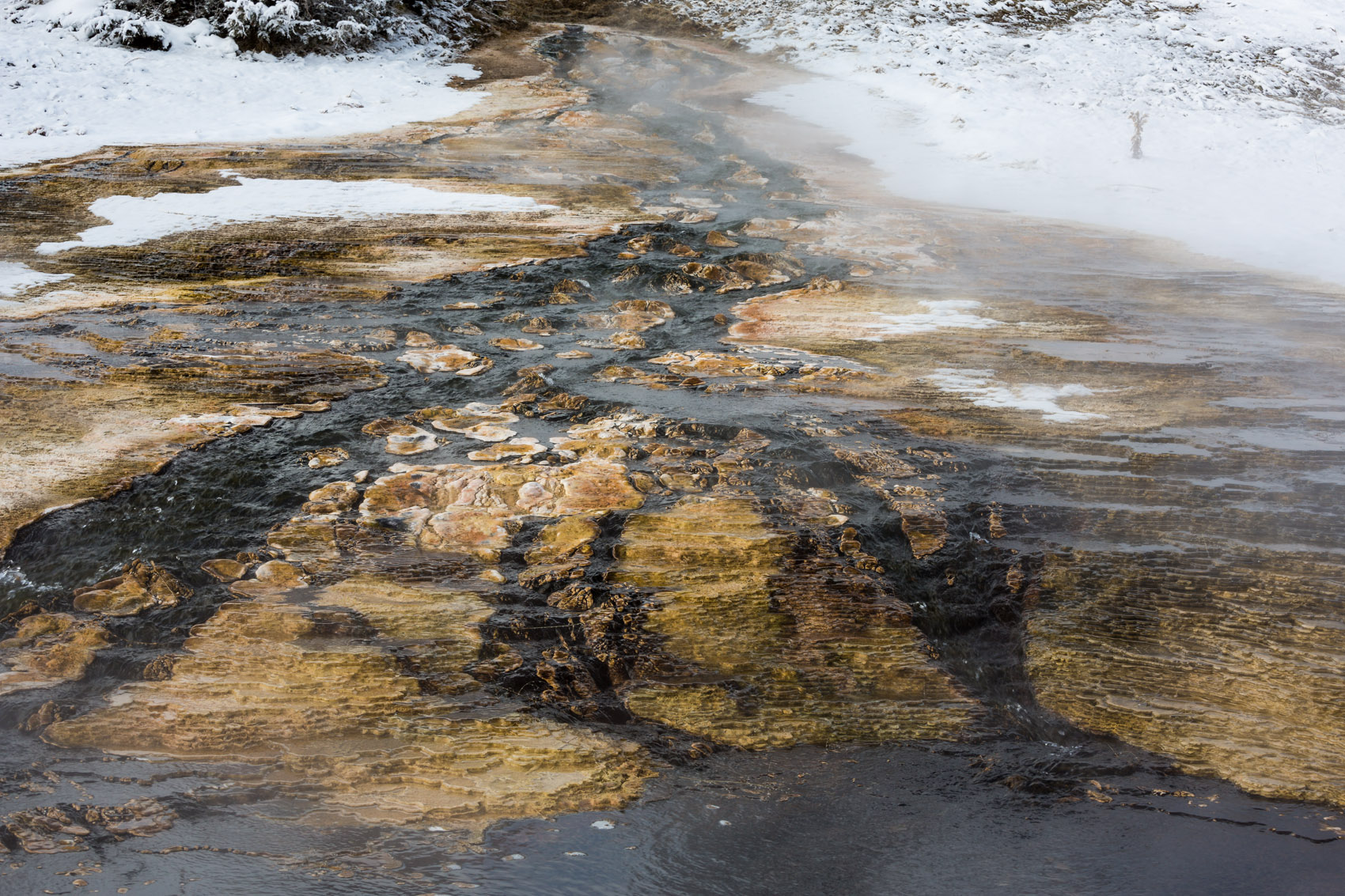 Bernard Crampon Photography - Yellowstone National Park