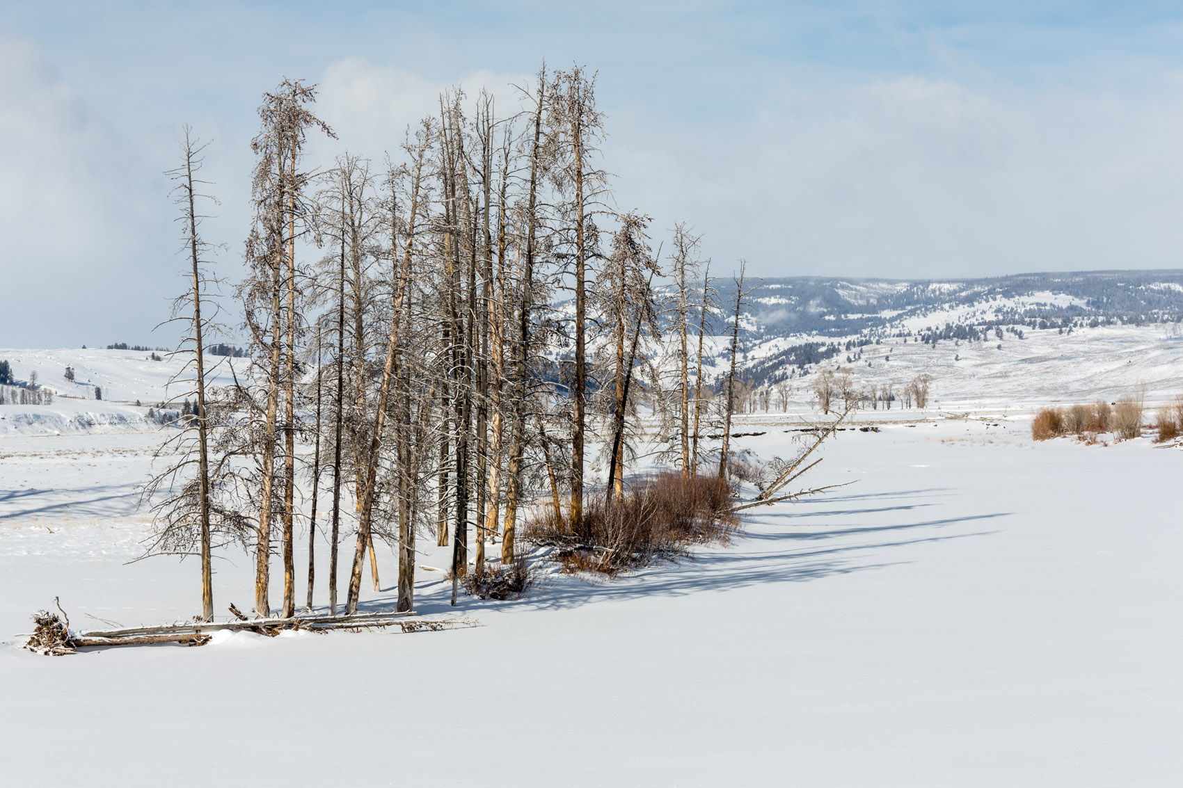 Bernard Crampon Photography - Yellowstone National Park