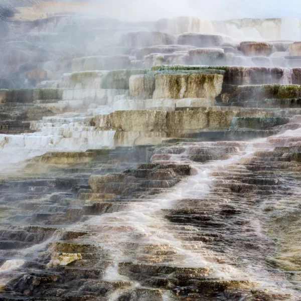 Bernard Crampon Photography - Yellowstone National Park