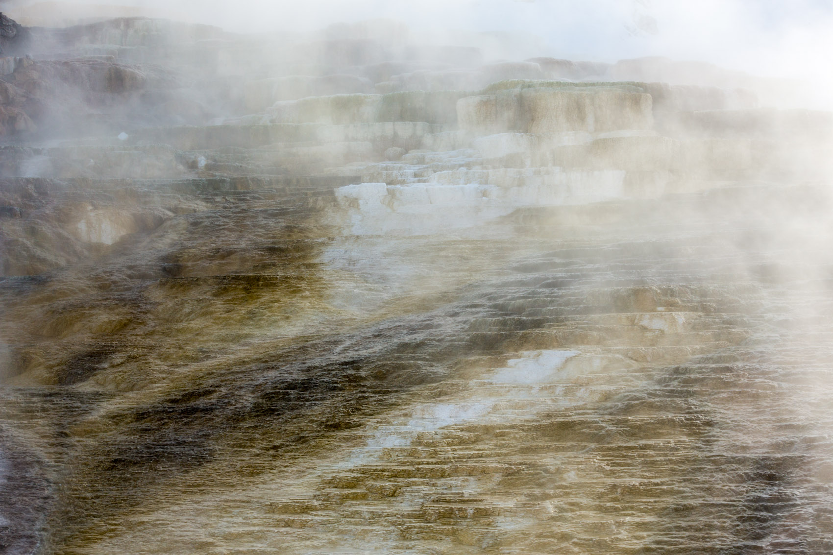 Bernard Crampon Photography - Yellowstone National Park