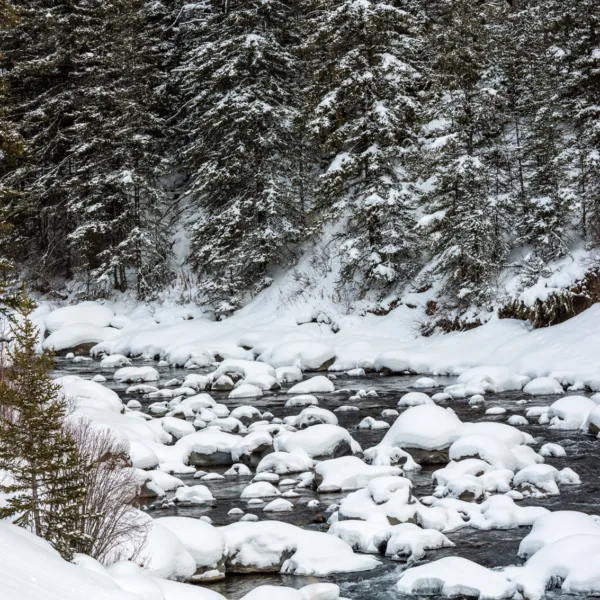 Bernard Crampon Photography - Yellowstone National Park