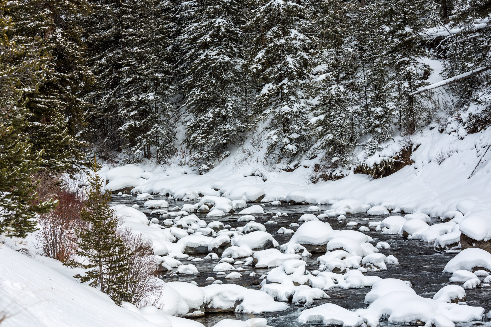 Bernard Crampon Photography - Yellowstone National Park