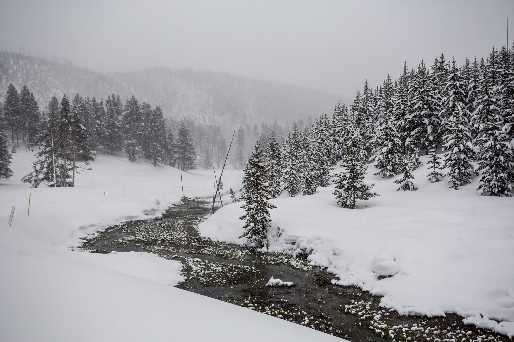 Bernard Crampon Photography - Yellowstone National Park