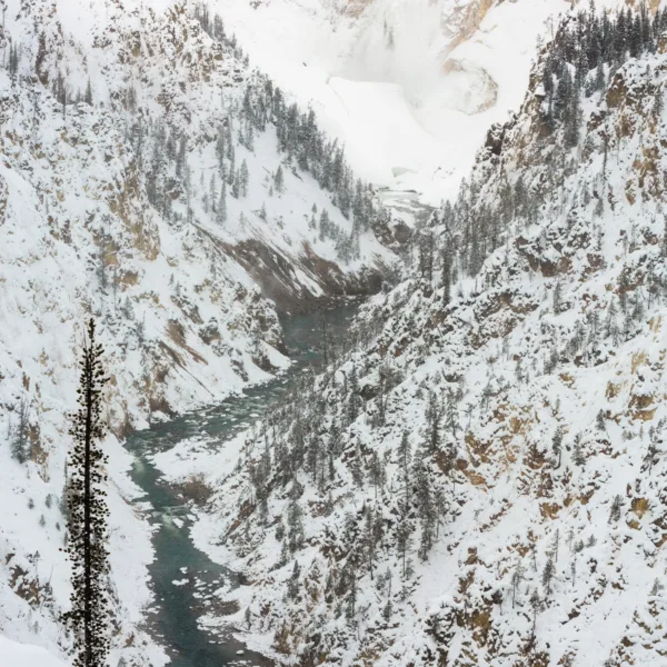Bernard Crampon Photography - Yellowstone National Park