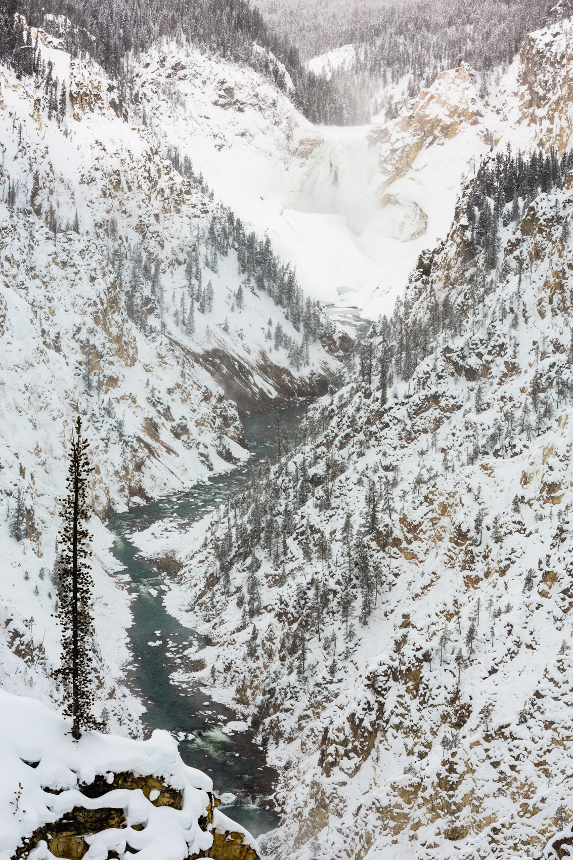 Bernard Crampon Photography - Yellowstone National Park