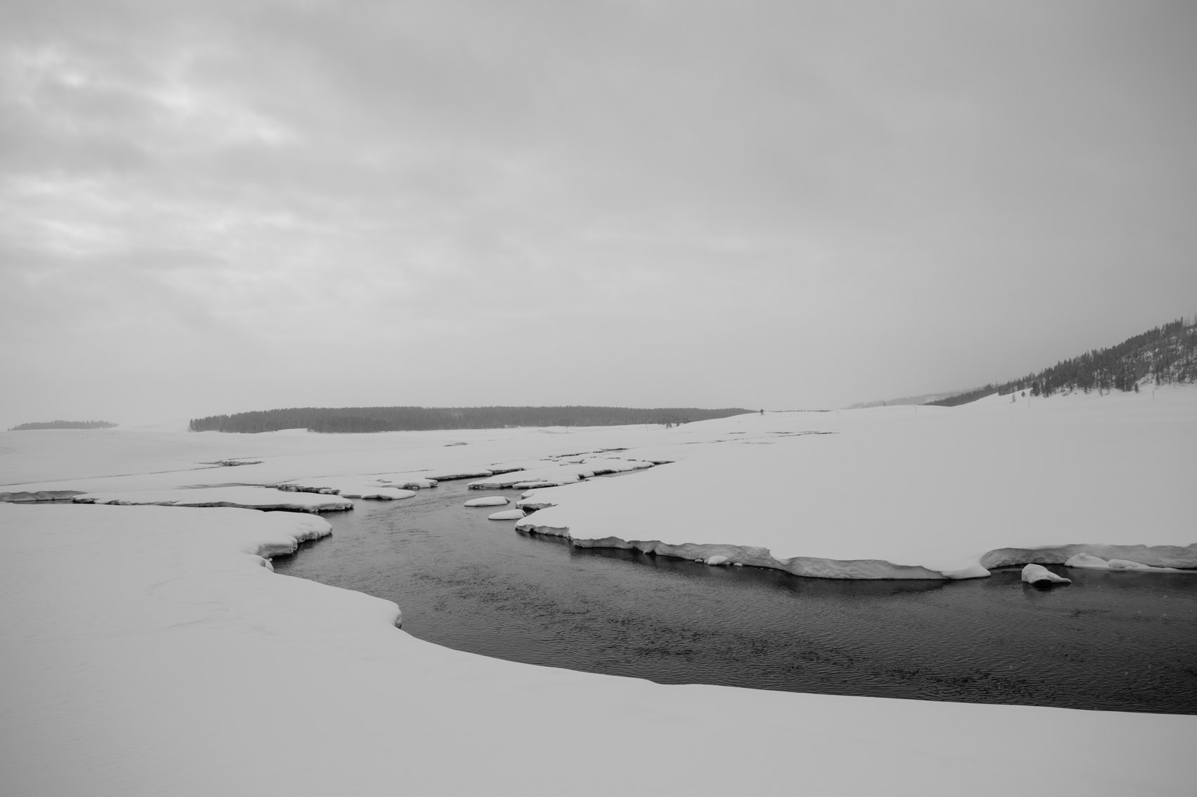 Bernard Crampon Photography - Yellowstone National Park