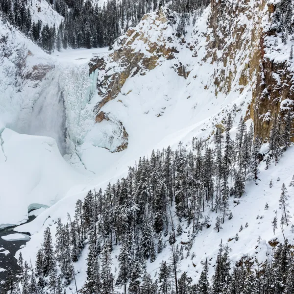 Bernard Crampon Photography - Yellowstone National Park