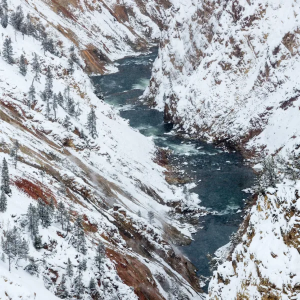 Bernard Crampon Photography - Yellowstone National Park