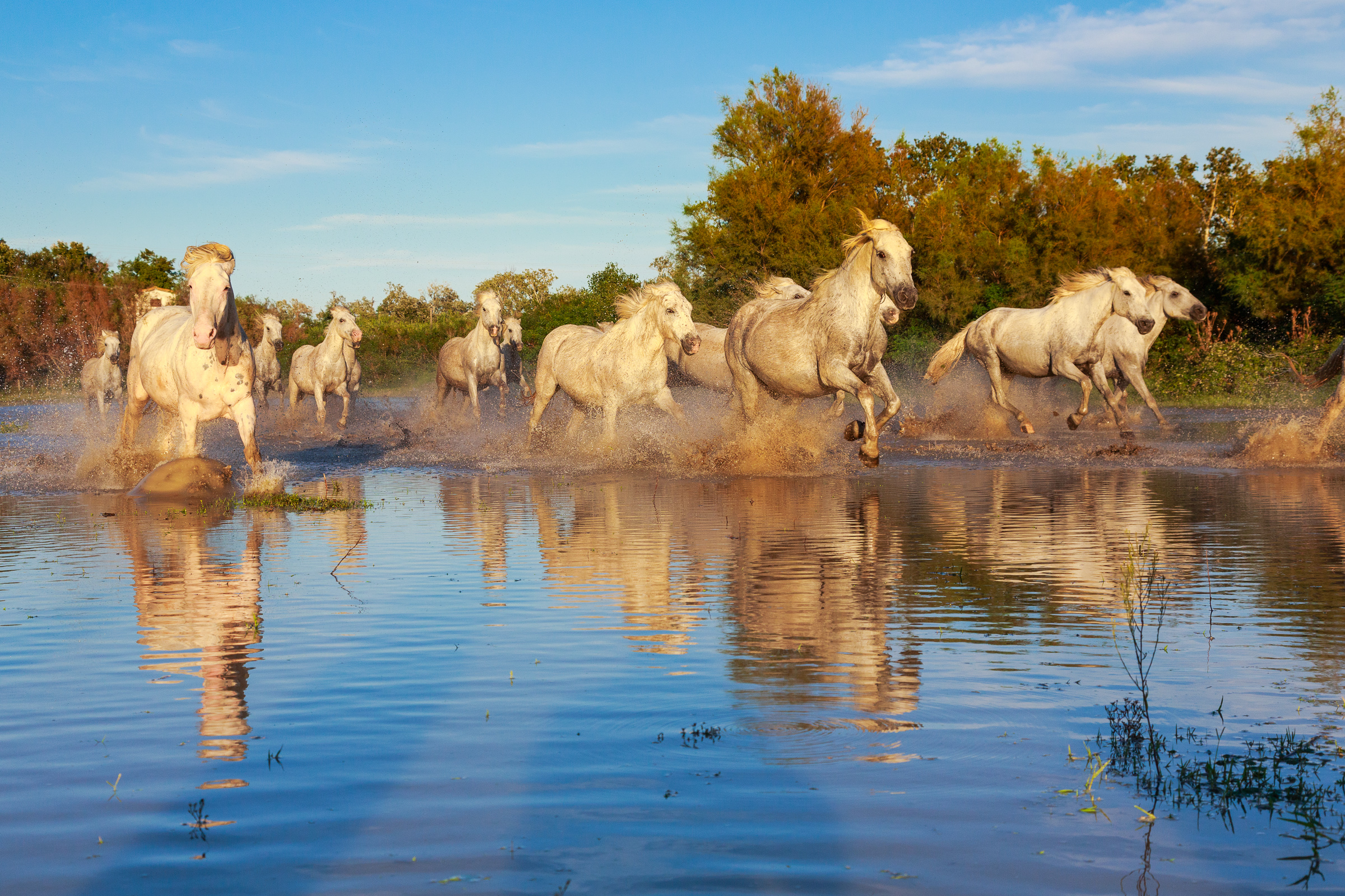 Bernard Crampon Photography - Titre commun