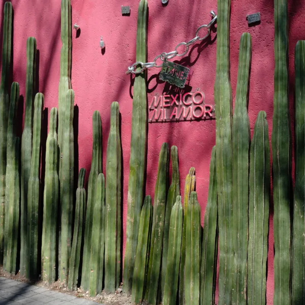 Bernard Crampon Photography - 2023-06-21 CDMX_0248
