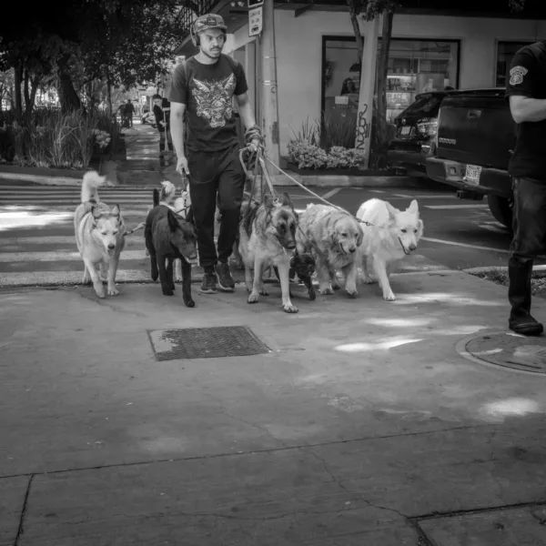 Bernard Crampon Photography - 2023-06-21 CDMX_0282-Enhanced-NR