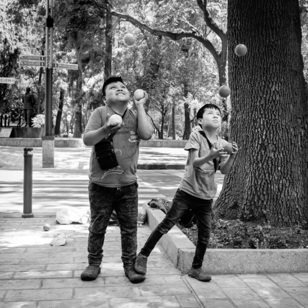 Bernard Crampon Photography - 2023-06-21 CDMX_0288