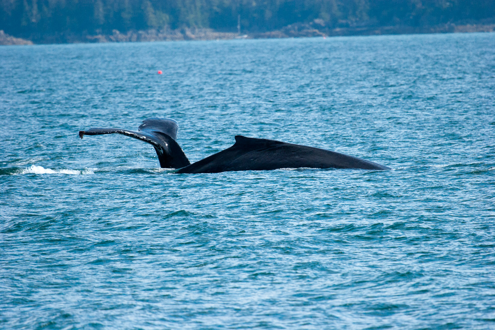 Bernard Crampon Photography - Alaska