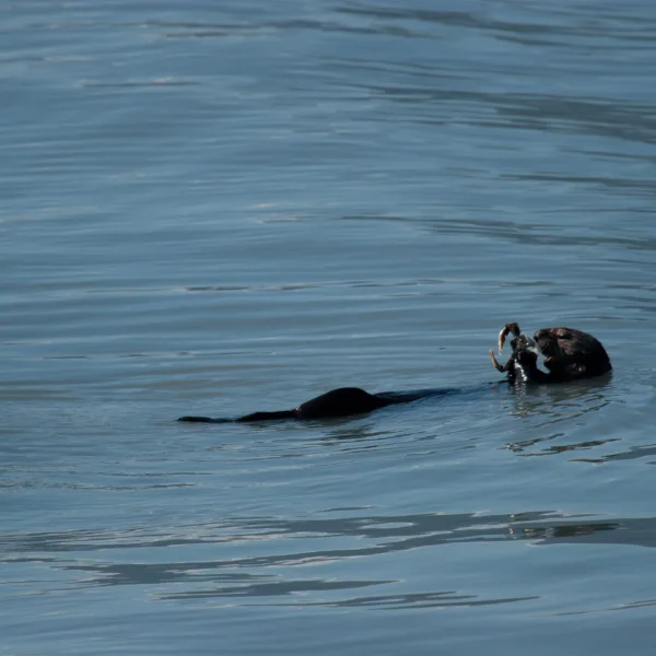 Bernard Crampon Photography - DNG-2005-08-12-Alaska_1315