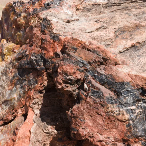 Bernard Crampon Photography - DNG 2006 07 02 Petrified Forest_8711