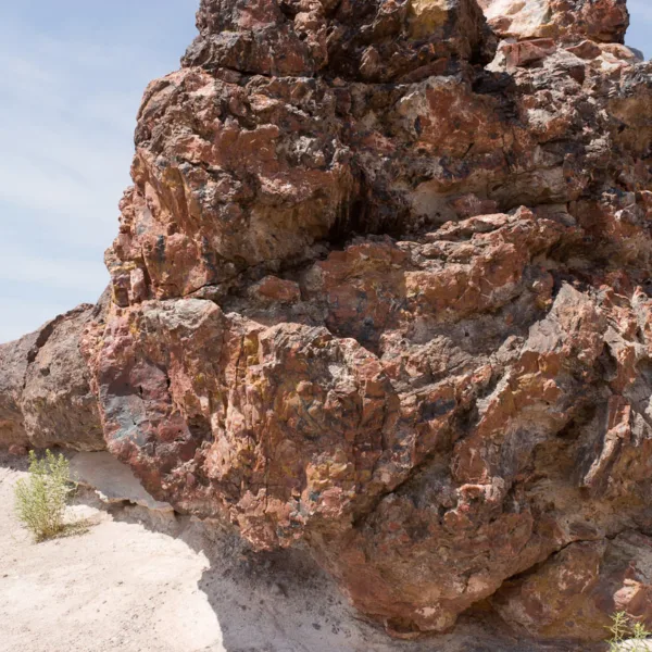 Bernard Crampon Photography - DNG 2006 07 02 Petrified Forest_8724